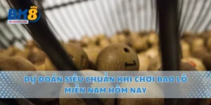 Dự Đoán Siêu Chuẩn Khi Chơi Bao Lô Miền Nam Hôm Nay